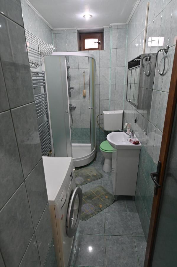 Apartament Camelia Petroşani エクステリア 写真