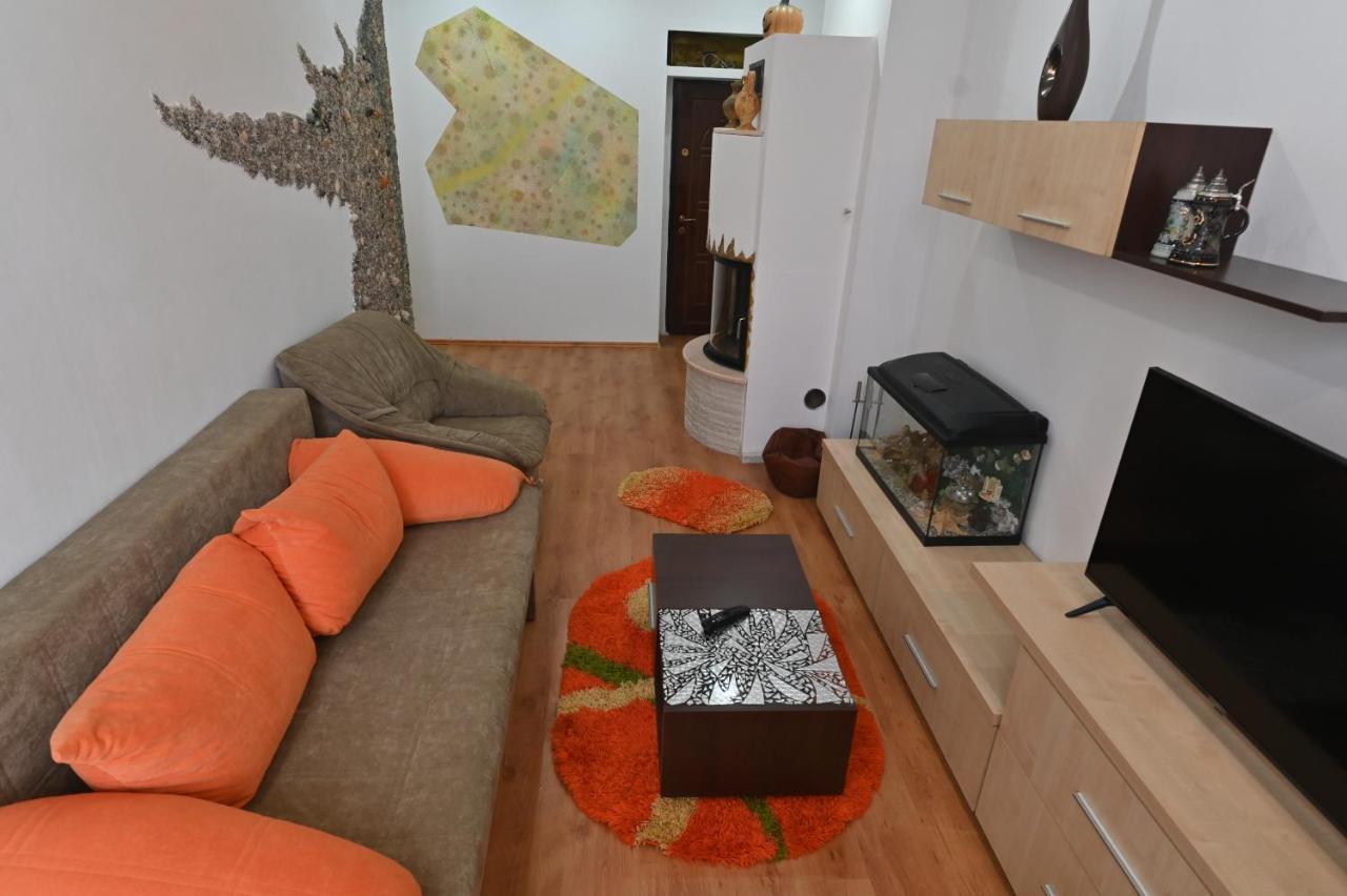 Apartament Camelia Petroşani エクステリア 写真