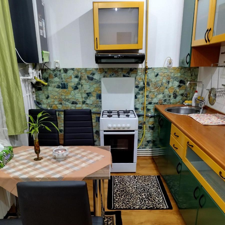 Apartament Camelia Petroşani エクステリア 写真