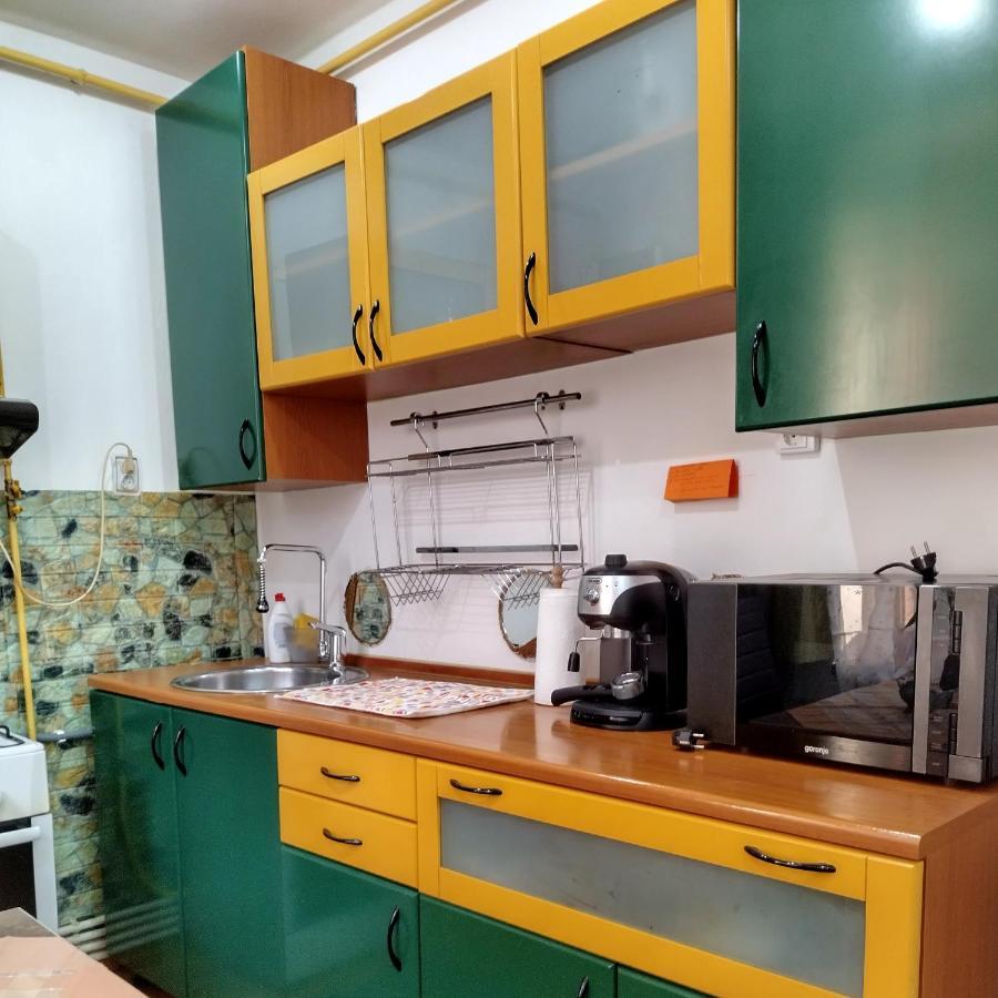 Apartament Camelia Petroşani エクステリア 写真