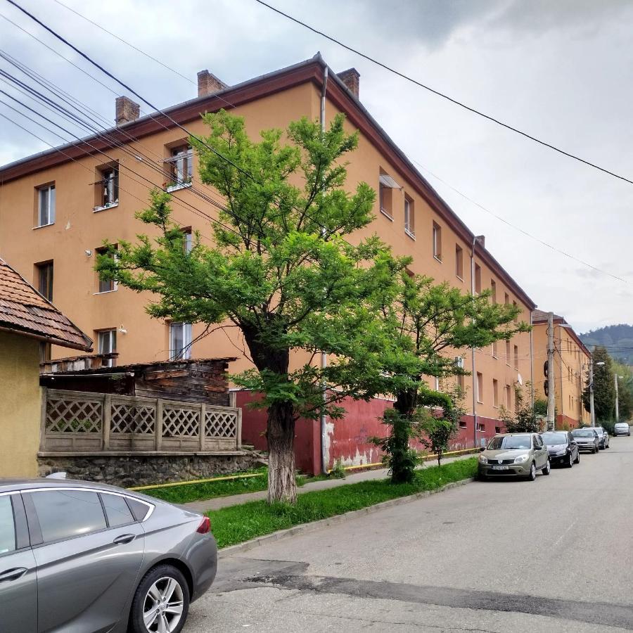 Apartament Camelia Petroşani エクステリア 写真